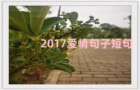 2017爱情句子短句