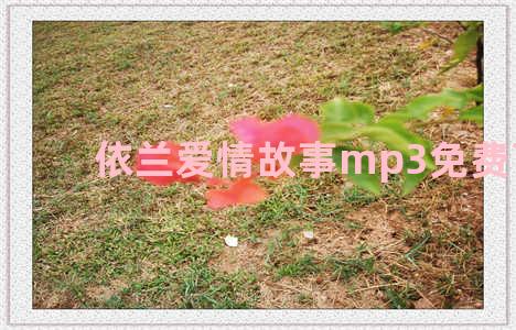 依兰爱情故事mp3免费下载